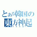 とある韓国の東方神起（ＴＶＸＱ）