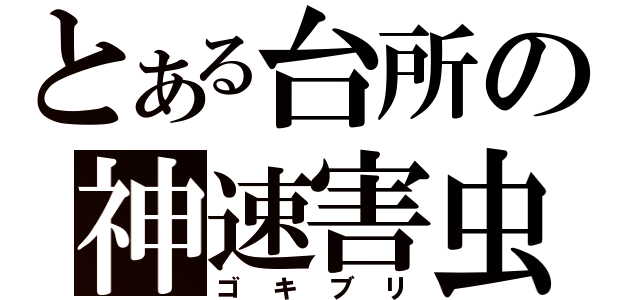 とある台所の神速害虫（ゴキブリ）