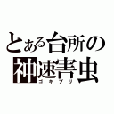 とある台所の神速害虫（ゴキブリ）