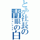 とある社長の青眼の白龍（ブルーアイズ）