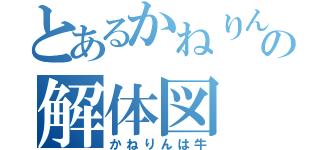 とあるかねりんの解体図（かねりんは牛）