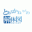 とあるかねりんの解体図（かねりんは牛）