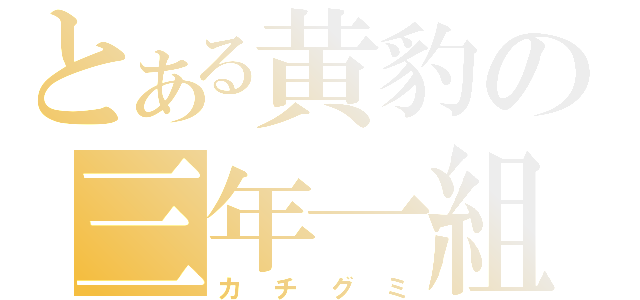 とある黄豹の三年一組（カチグミ）