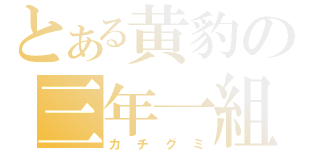 とある黄豹の三年一組（カチグミ）