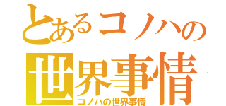 とあるコノハの世界事情（コノハの世界事情）