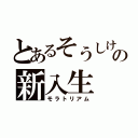 とあるそうしけんの新入生（モラトリアム）