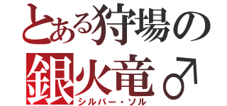 とある狩場の銀火竜♂（シルバー・ソル）