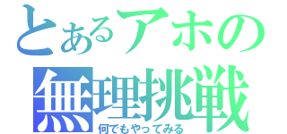 とあるアホの無理挑戦（何でもやってみる）