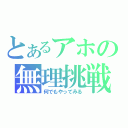 とあるアホの無理挑戦（何でもやってみる）