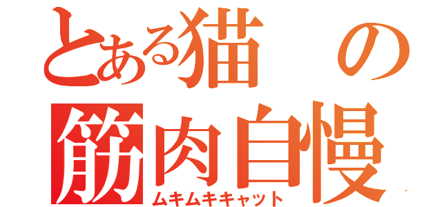 とある猫の筋肉自慢（ムキムキキャット）