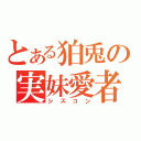 とある狛兎の実妹愛者（シスコン）