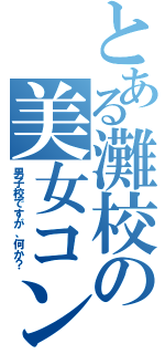 とある灘校の美女コン（男子校ですが、何か？）