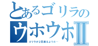 とあるゴリラのウホウホⅡ（ゴリラが２匹居るようだ…）