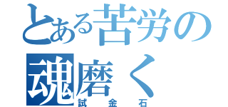 とある苦労の魂磨く（試金石）