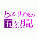 とあるリア充の五ヶ月記念（柊斗Ｘ樺乃）