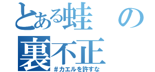 とある蛙の裏不正（＃カエルを許すな）