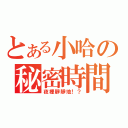 とある小哈の秘密時間（夜裡靜靜地！？）