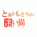 とあるもとちの迷い猫（オタク）