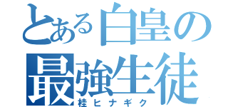 とある白皇の最強生徒会長（桂ヒナギク）