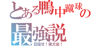 とある鴨中蹴球の最強説（目指せ！県大会！）