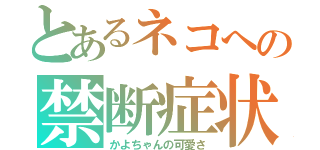 とあるネコへの禁断症状（かよちゃんの可愛さ）