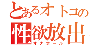 とあるオトコの性欲放出（オナホール）