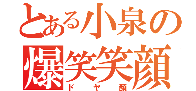 とある小泉の爆笑笑顔（ドヤ顔）