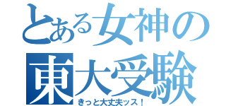 とある女神の東大受験（きっと大丈夫ッス！）