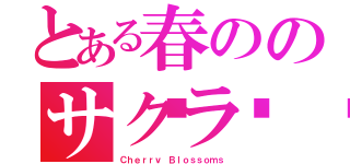 とある春ののサクラ🌸（Ｃｈｅｒｒｖ Ｂｌｏｓｓｏｍｓ）