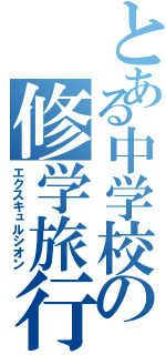 とある中学校の修学旅行（エクスキュルシオン）