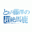 とある藤澤の超絶馬鹿（【君はъака】＼＿（・ω・｀））