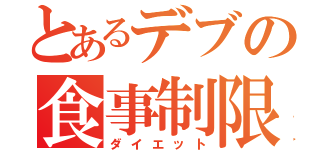 とあるデブの食事制限（ダイエット）