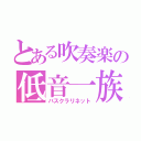 とある吹奏楽の低音一族（バスクラリネット）