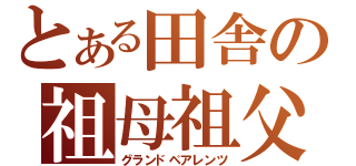 とある田舎の祖母祖父（グランドペアレンツ）