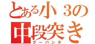 とある小３の中段突き（グーパンチ）