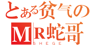 とある贫气のＭＲ蛇哥（ＳＨＥＧＥ）