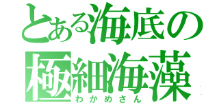 とある海底の極細海藻（わかめさん）