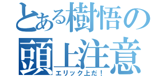 とある樹悟の頭上注意（エリック上だ！）