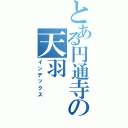 とある円通寺の天羽（インデックス）