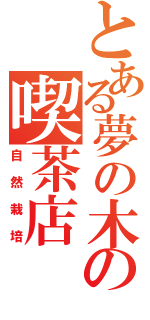 とある夢の木坂の喫茶店（自然栽培）