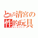 とある清宮の性的玩具（ダッチワイフ）