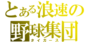 とある浪速の野球集団（タイガース）