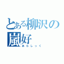 とある柳沢の嵐好（あらしっく）