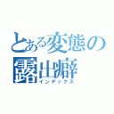 とある変態の露出癖（インデックス）