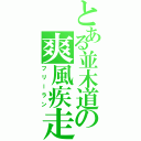 とある並木道の爽風疾走（フリーラン）