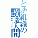 とある組織の改造人間（仮面ライダー）