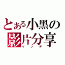 とある小黑の影片分享（インデ）