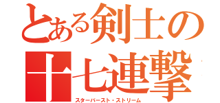 とある剣士の十七連撃（スターバースト・ストリーム）