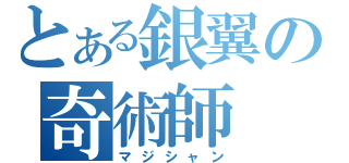 とある銀翼の奇術師（マジシャン）