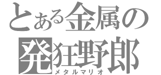 とある金属の発狂野郎（メタルマリオ）